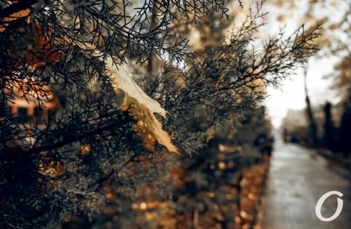 Ноябрьский центр Одессы6