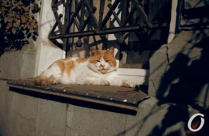 Ноябрьский центр Одессы9