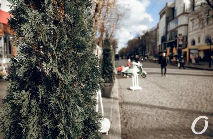 Ноябрь в центре Одессы16