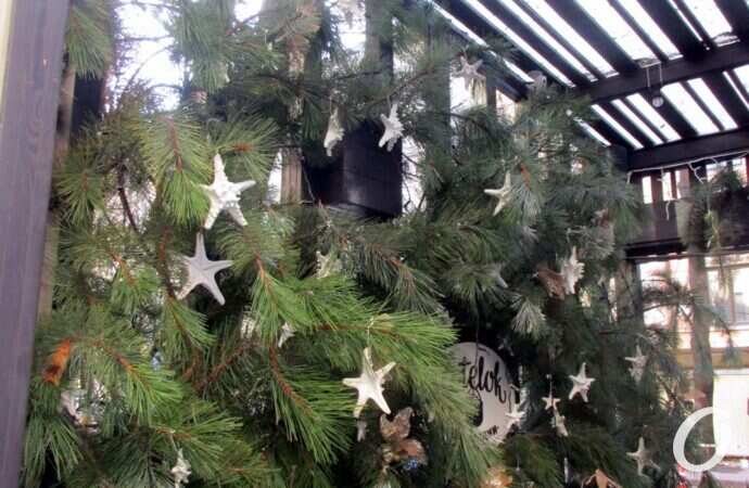 ноябрь в центре Одессы5