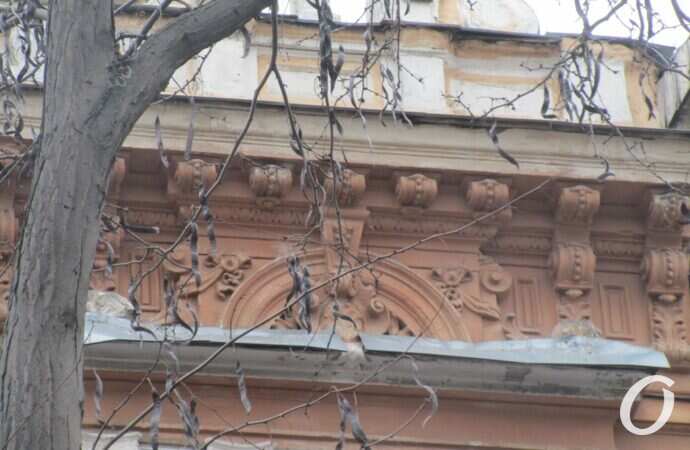 Дом с дельфином13