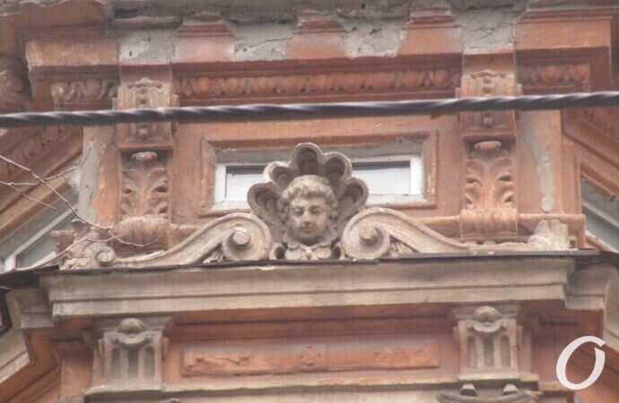 Дом с дельфином8