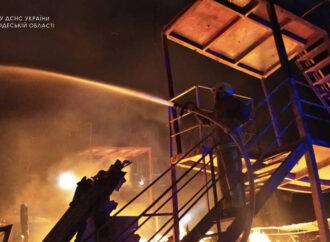 Сложный пожар на базе отдыха в Грибовке потушен: подробности