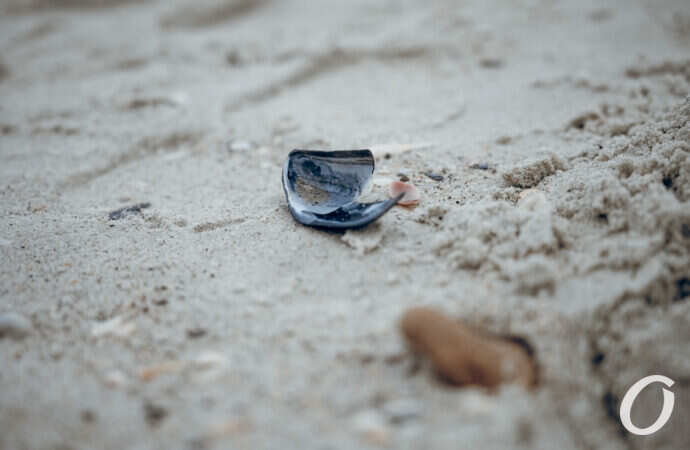 Дача Ковалевского ноябрь осень море