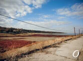 Красная трава и бетон: суровая красота осеннего Куяльника