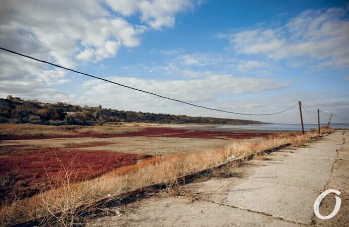 Красная трава и бетон: суровая красота осеннего Куяльника