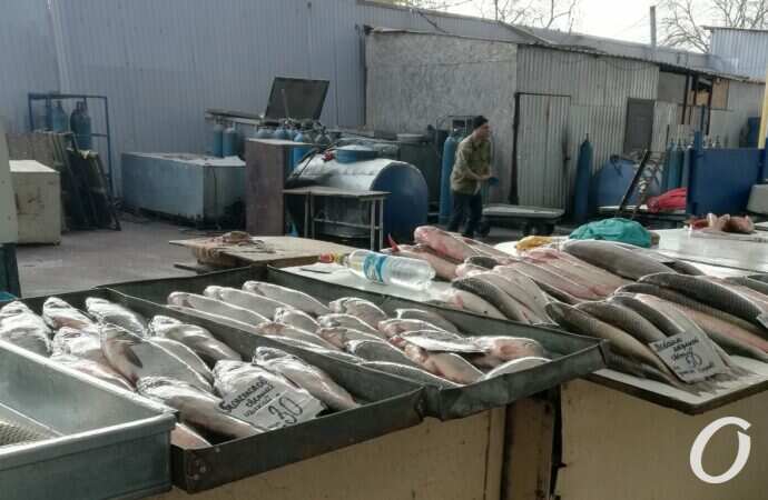 цены на Привозе в ноябре