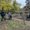 Акция “1000 белых акаций” в Одессе: сколько деревьев уже высадили? (видео)