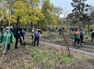 Акция “1000 белых акаций” в Одессе: сколько деревьев уже высадили? (видео)