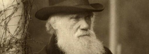 Этот день в истории: какую революцию в науке совершил Чарльз Дарвин?