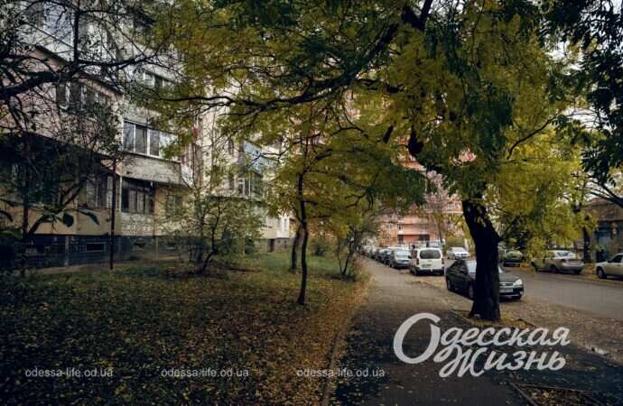 Какая погода ожидается в Одессе в пятницу, 23 сентября?