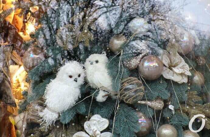 Одесса, декабрь26