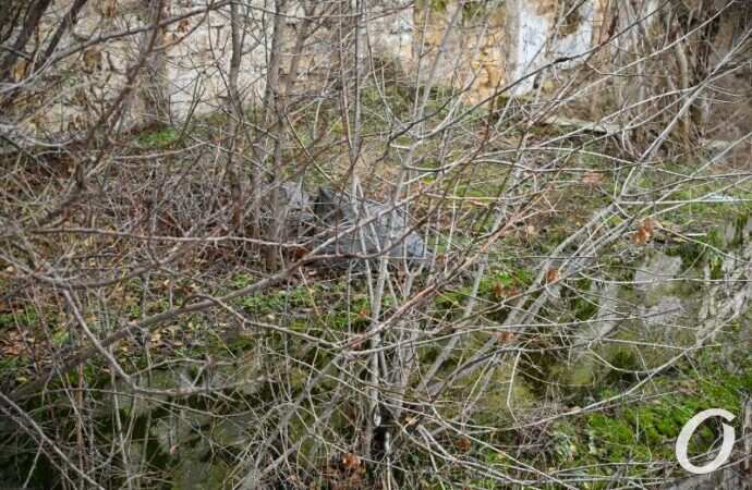 склоны у Потемкинской лестницы2