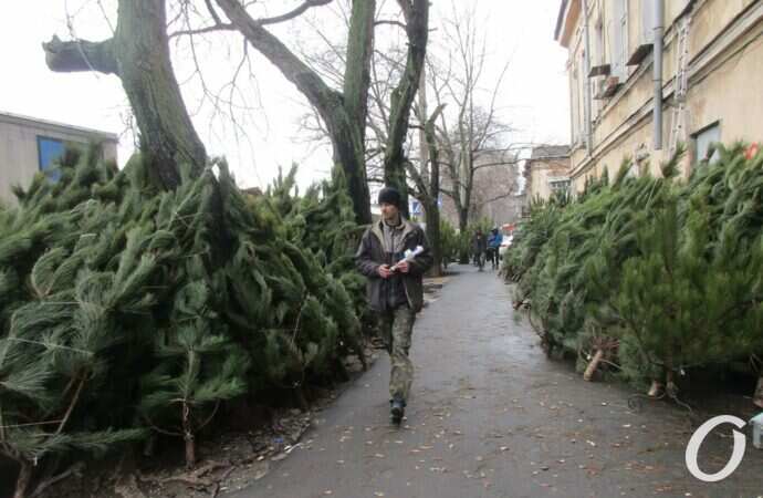 Одесский ёлочный базар у Нового рынка