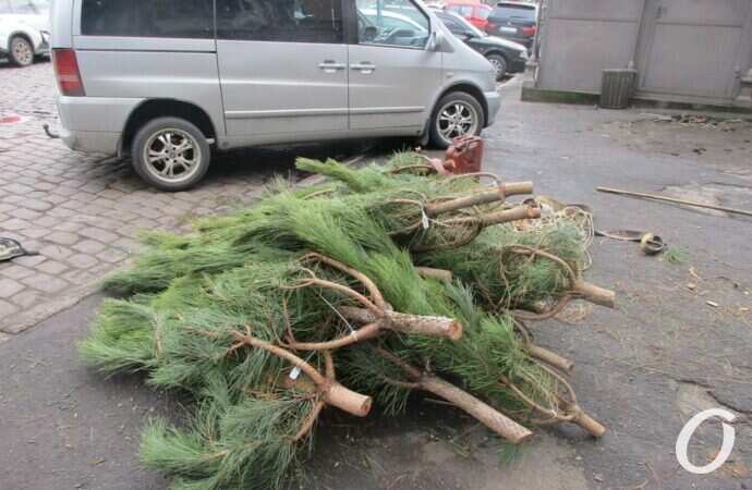 Одесский ёлочный базар у Нового рынка13