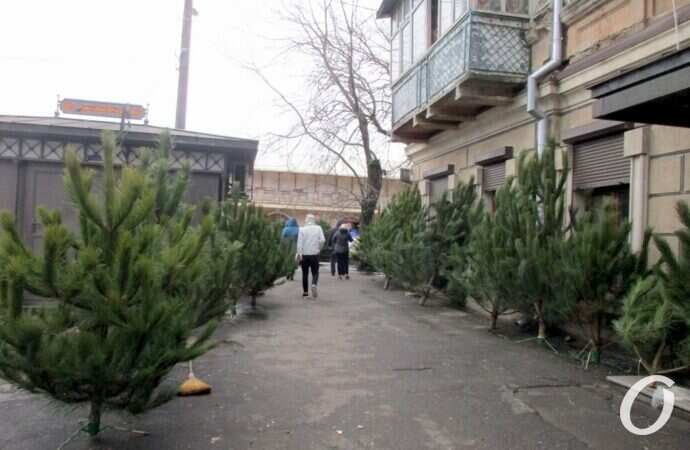 Одесский ёлочный базар у Нового рынка14