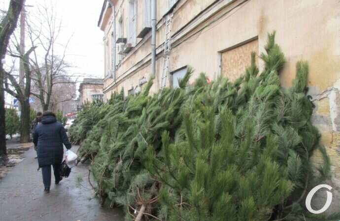 Одесский ёлочный базар у Нового рынка2