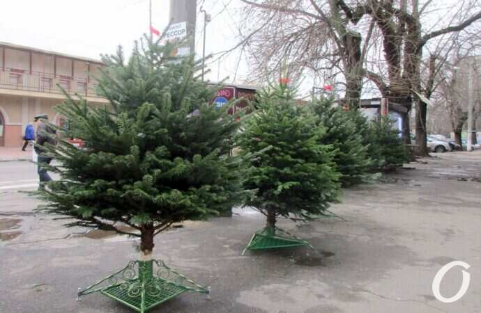 Одесский ёлочный базар у Нового рынка8