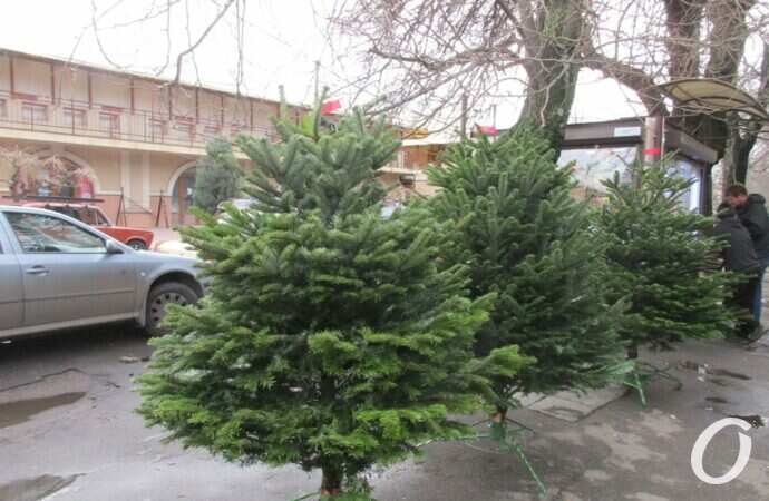 Одесский ёлочный базар у Нового рынка9