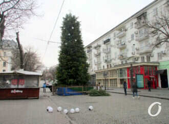 Елка на Дерибасовской превращается в новогоднюю красавицу (фото)