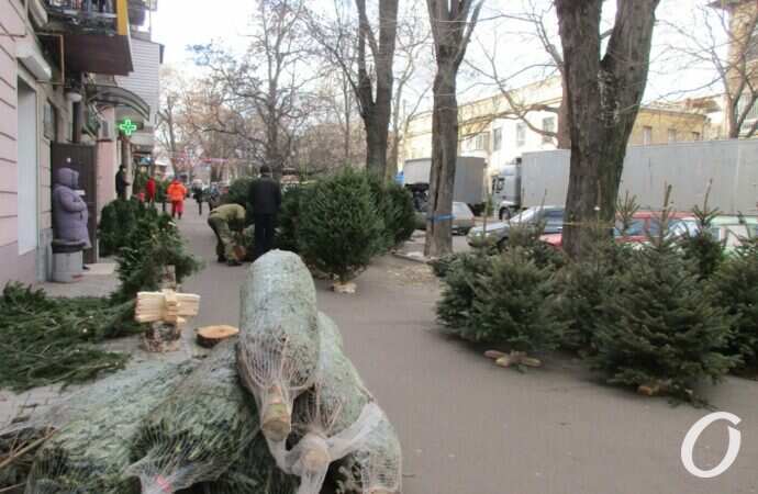 Елочный базар на Конной