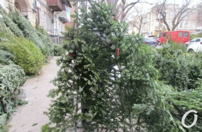 Елочный базар на Конной10