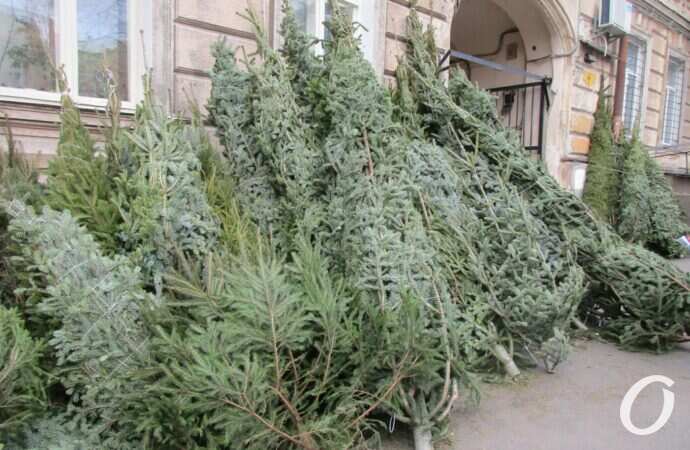 Елочный базар на Конной12