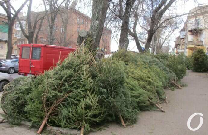 Елочный базар на Конной13