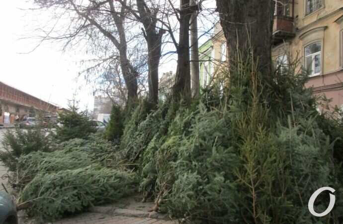 Елочный базар на Конной16