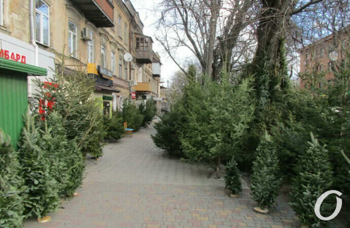 Елочный базар на Конной17