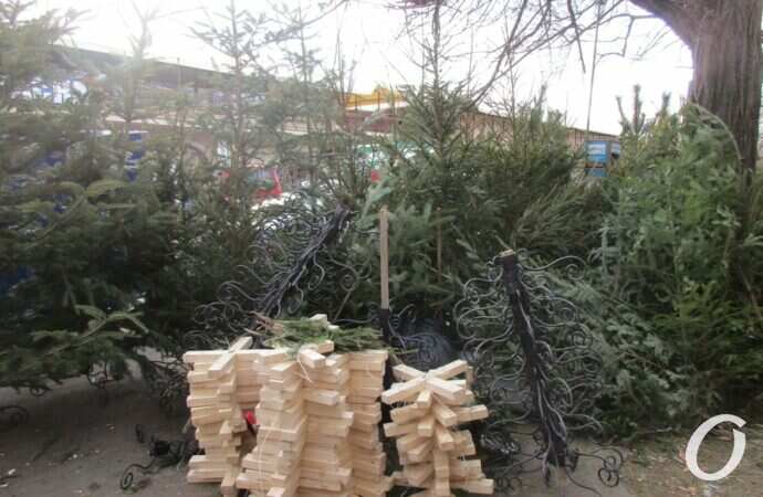 Елочный базар на Конной18