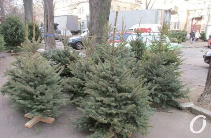 Елочный базар на Конной2