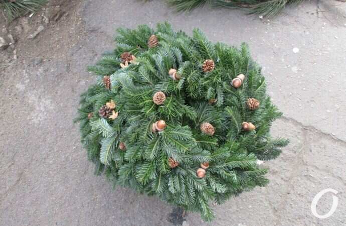 Елочный базар на Конной21