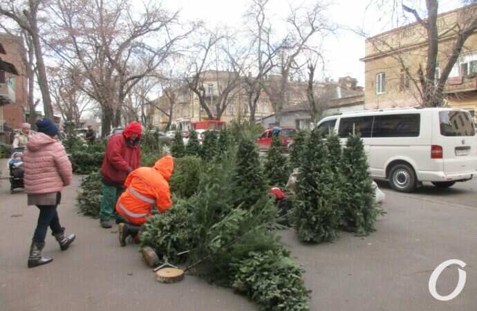 Елочный базар на Конной6