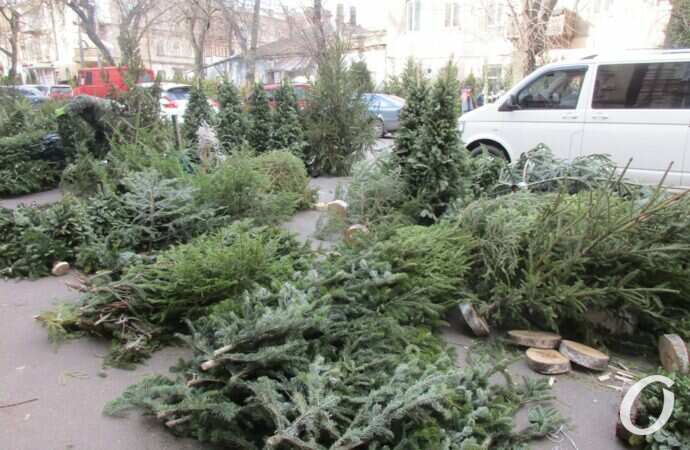Елочный базар на Конной8