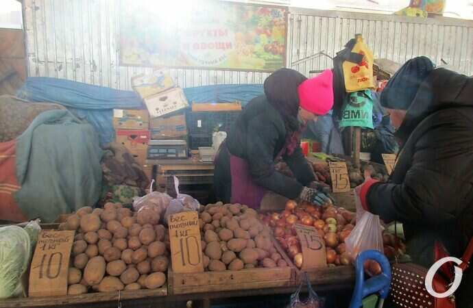 Привоз предновогодний12