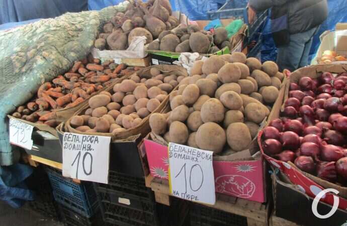 Привоз предновогодний15