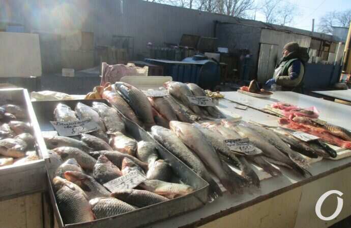 Привоз предновогодний7