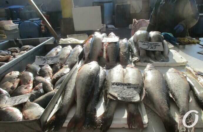 Привоз предновогодний8