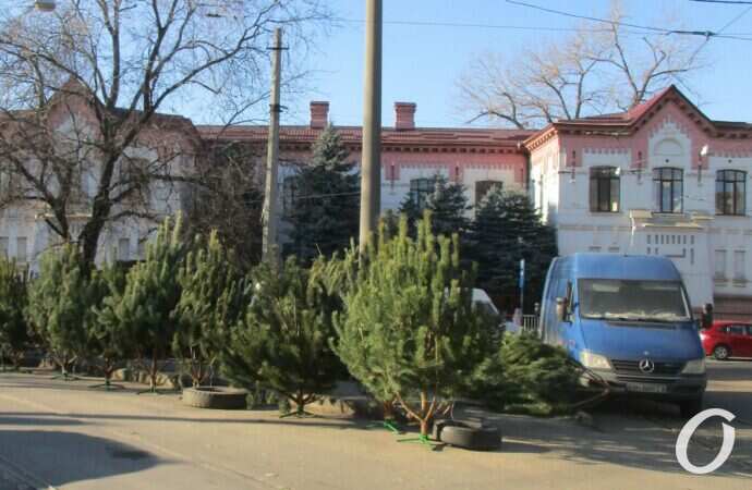 Елочный базар у Привоза