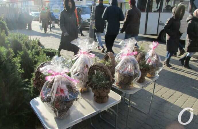 Елочный базар у Привоза12