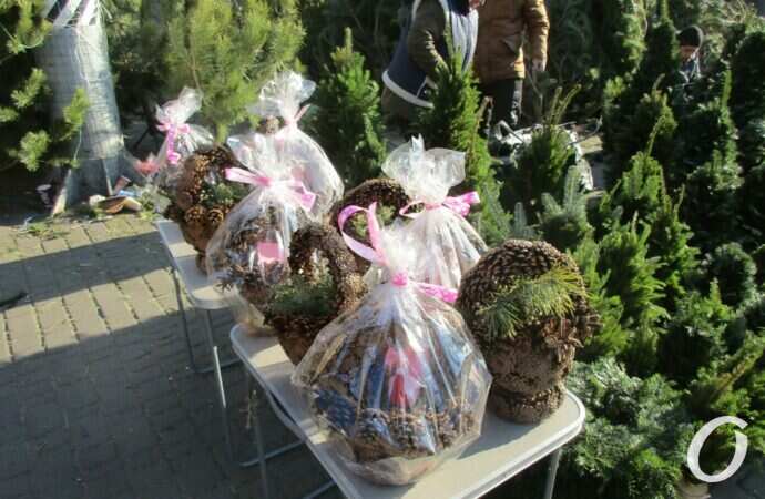 Елочный базар у Привоза13