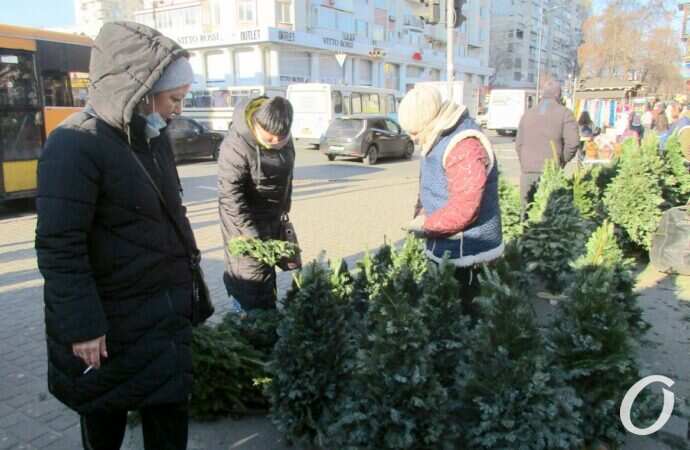 Елочный базар у Привоза16