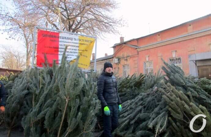 Елочный базар у Привоза2