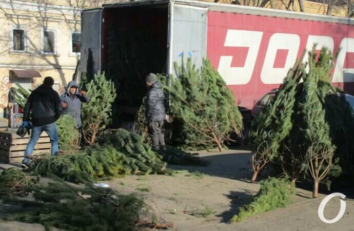 Елочный базар у Привоза8