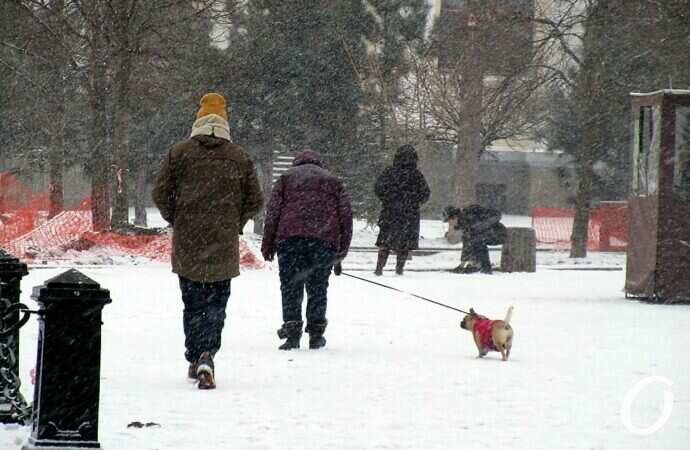 Снег в Одессе 24 декабря10