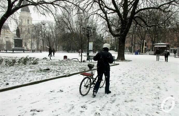 Снег в Одессе 24 декабря12