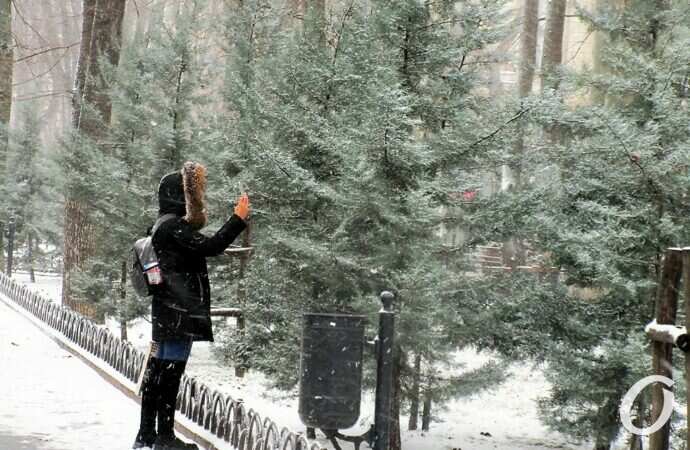 Снег, пробки, красота: главные новости Одессы за 24 декабря