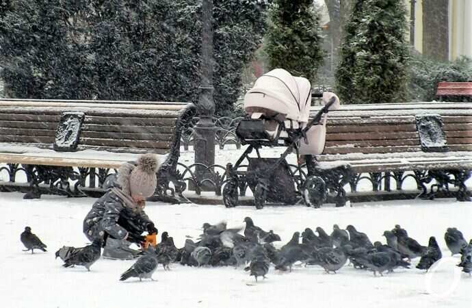 Снег в Одессе 24 декабря25