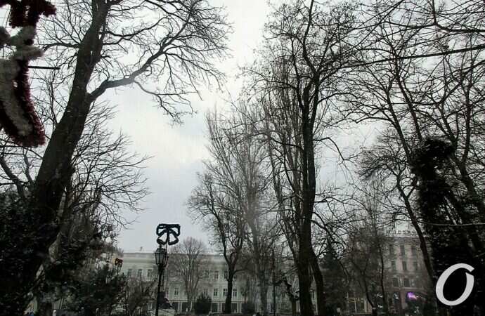 Снег в Одессе 24 декабря31